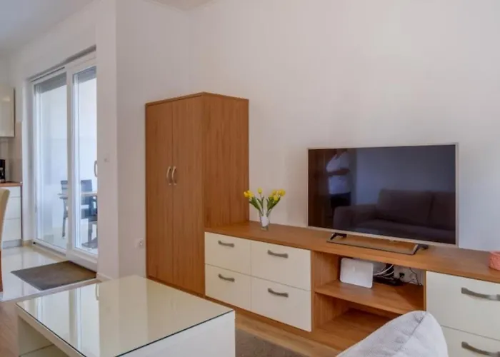 Jena A2 木洛希尼